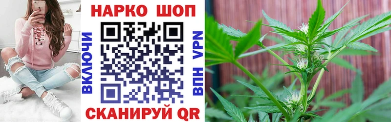 Магазины продажи наркотиков Маркс Конопля  hydra ссылка  ГАШИШ  СОЛЬ  Мефедрон  COCAIN 