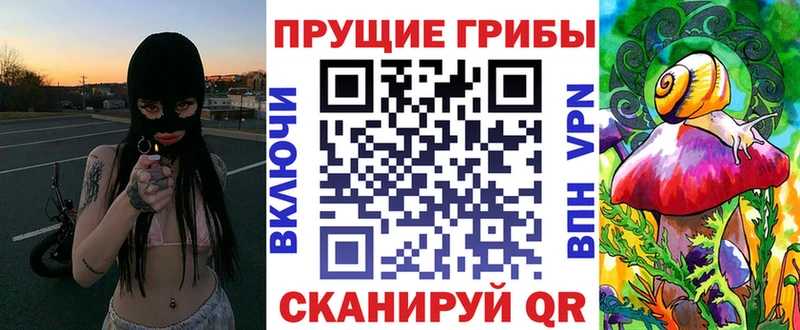 Галлюциногенные грибы Psilocybe где продают наркотики Маркс