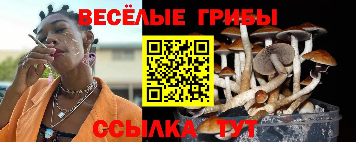 Псилоцибиновые грибы Psilocybine cubensis  Вход с VPN  Маркс  купить наркотик  Галлюциногенные грибы Psilocybine cubensis 
