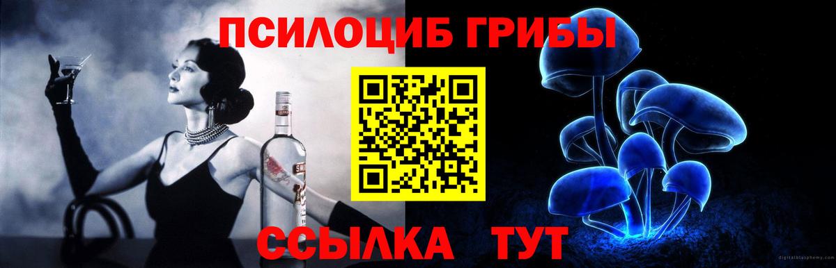Галлюциногенные грибы Psilocybine cubensis Маркс